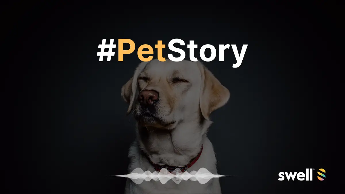8 Prompts for #PetStory